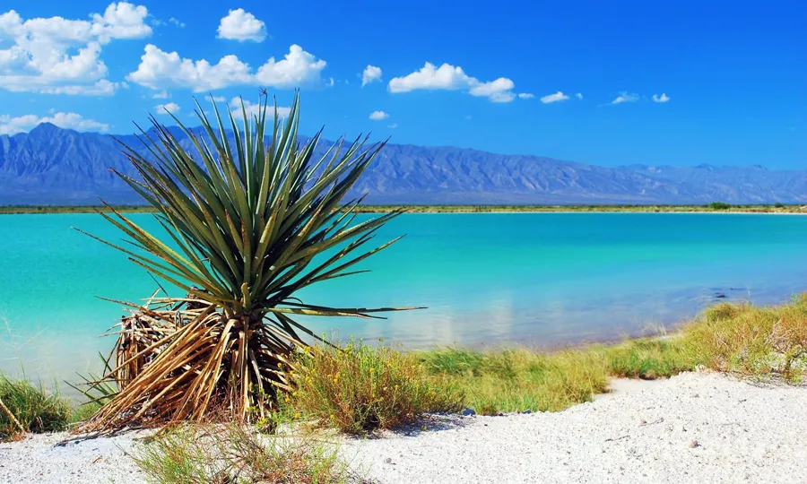 Nota sobre Ruta de Ecoturismo y Aventura, Baja California