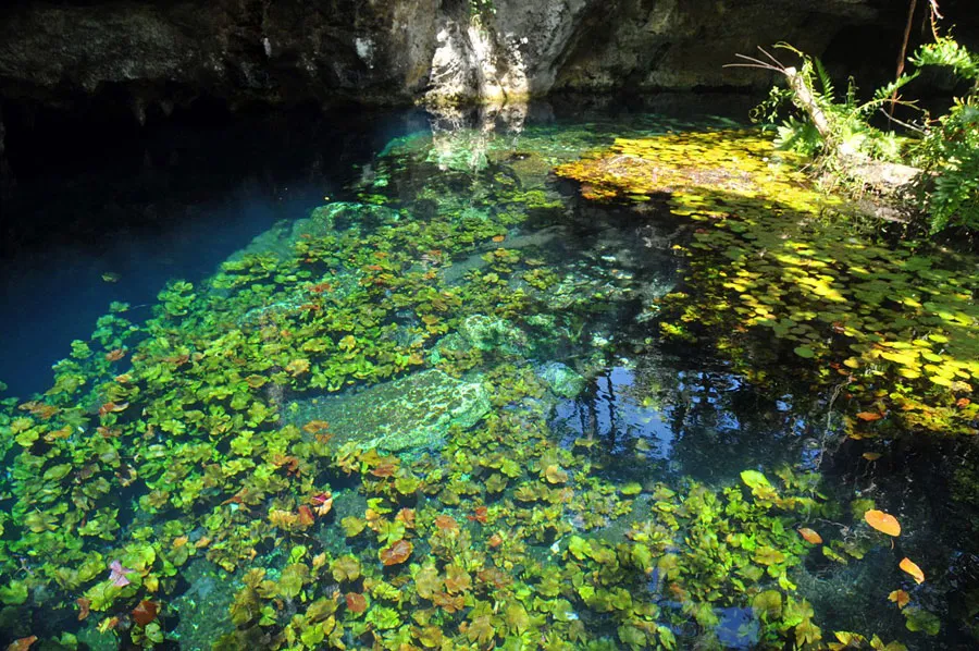 Nota sobre Cenote Xcanché, Yucatán