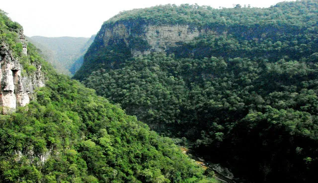 Nota sobre Reserva de la Biósfera Selva El Ocote, Chiapas