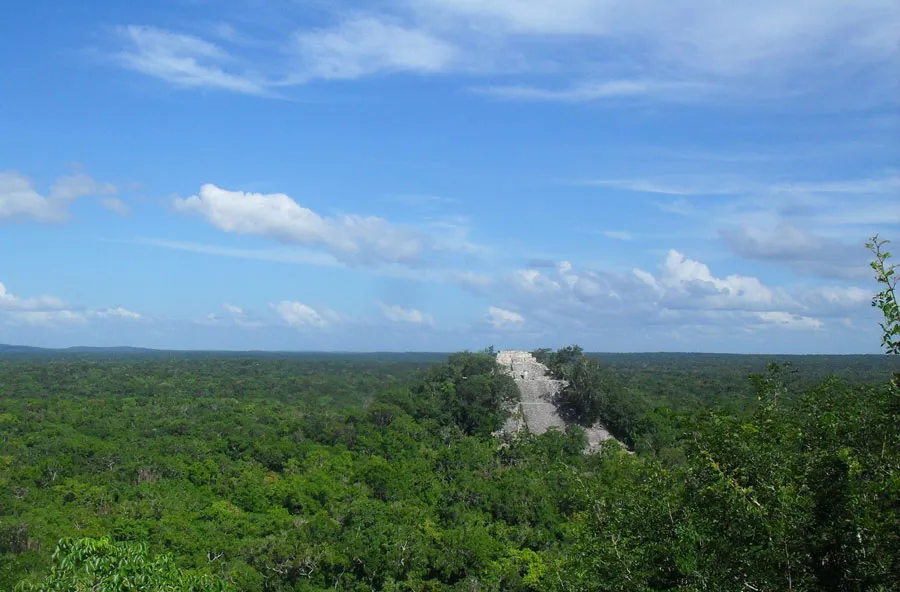 Nota sobre Reserva de la biosfera de Calakmul, Campeche