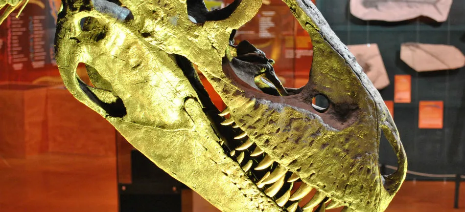 Nota sobre Museo del Desierto Chihuahuense: en busca de los dinosaurios