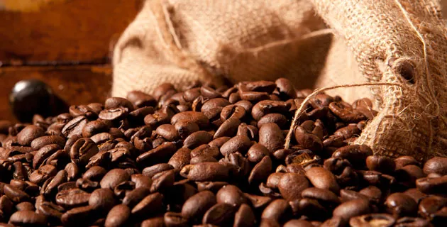 Nota sobre 3 destinos para saborear un buen café en México / Chiapas