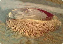 Nota sobre Crateres en Pinacate Sonora