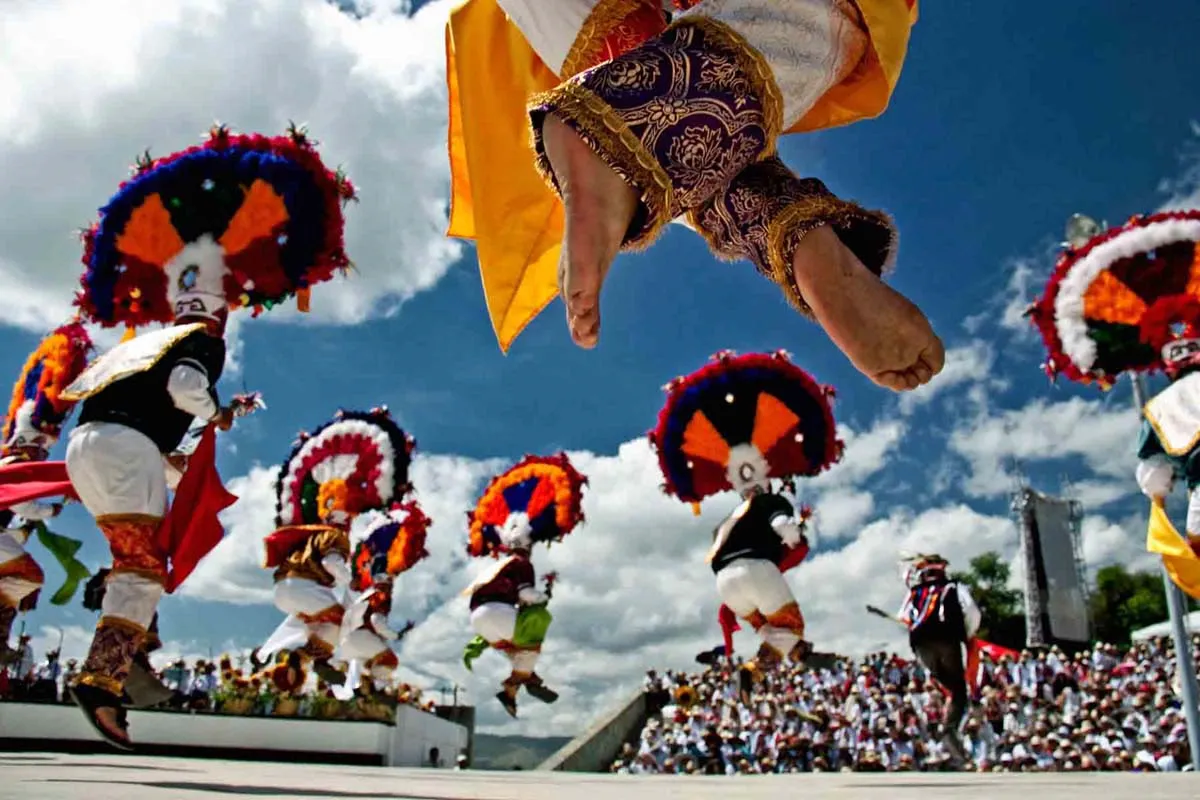 Nota sobre Tuxtepec, Oaxaca: Tapetes de aserrín
