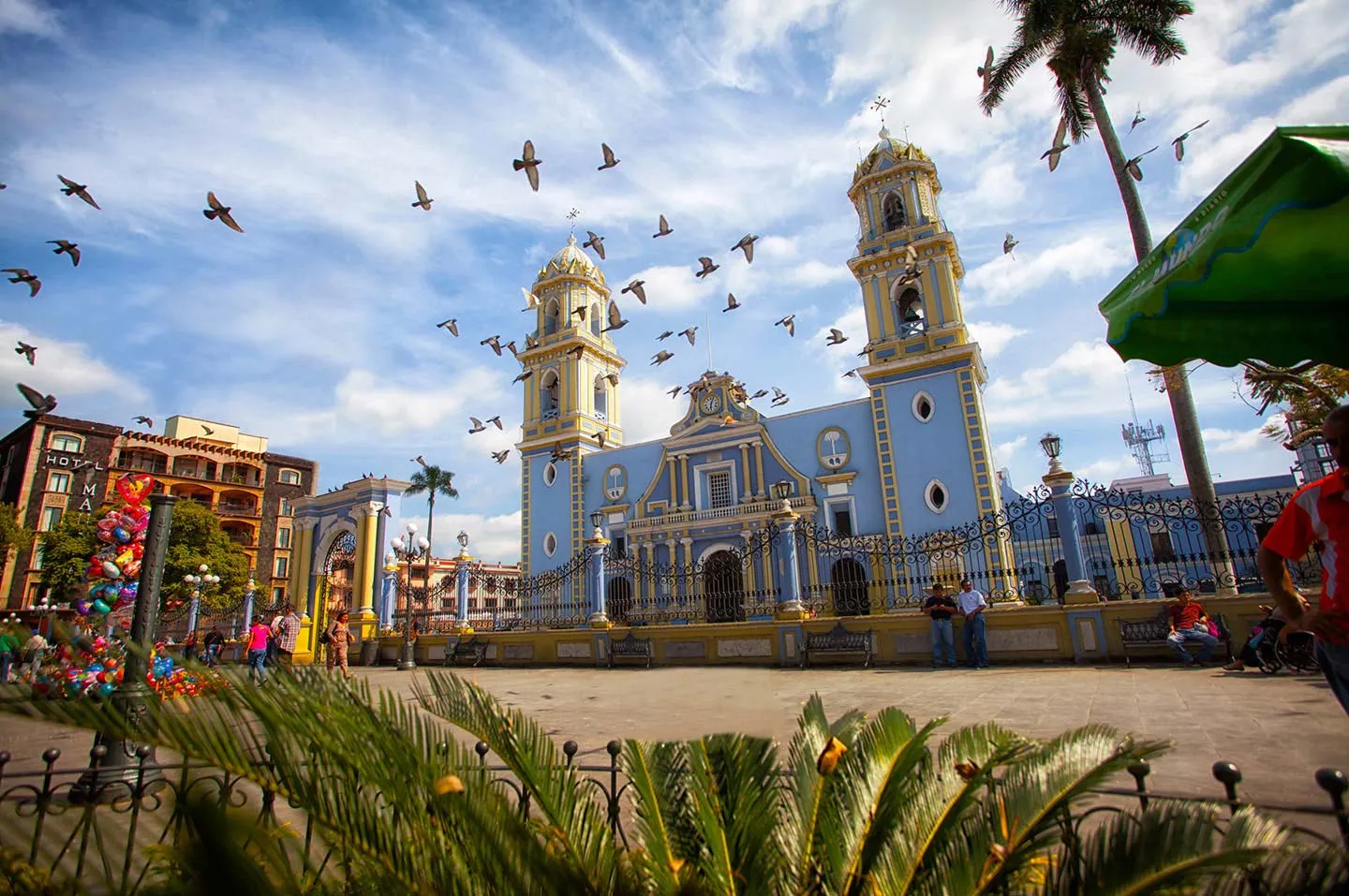 Nota sobre Veracruz un estado maravilloso