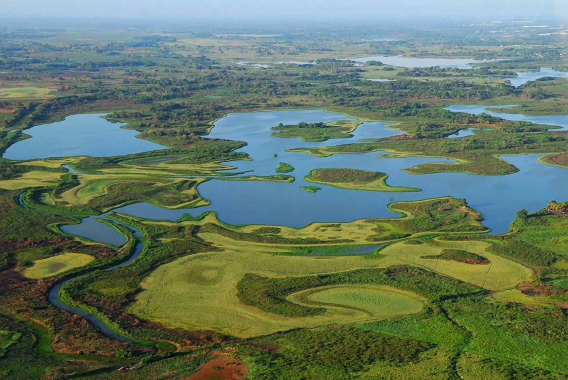 Nota sobre Descubre los pantanos de Centla en Tabasco