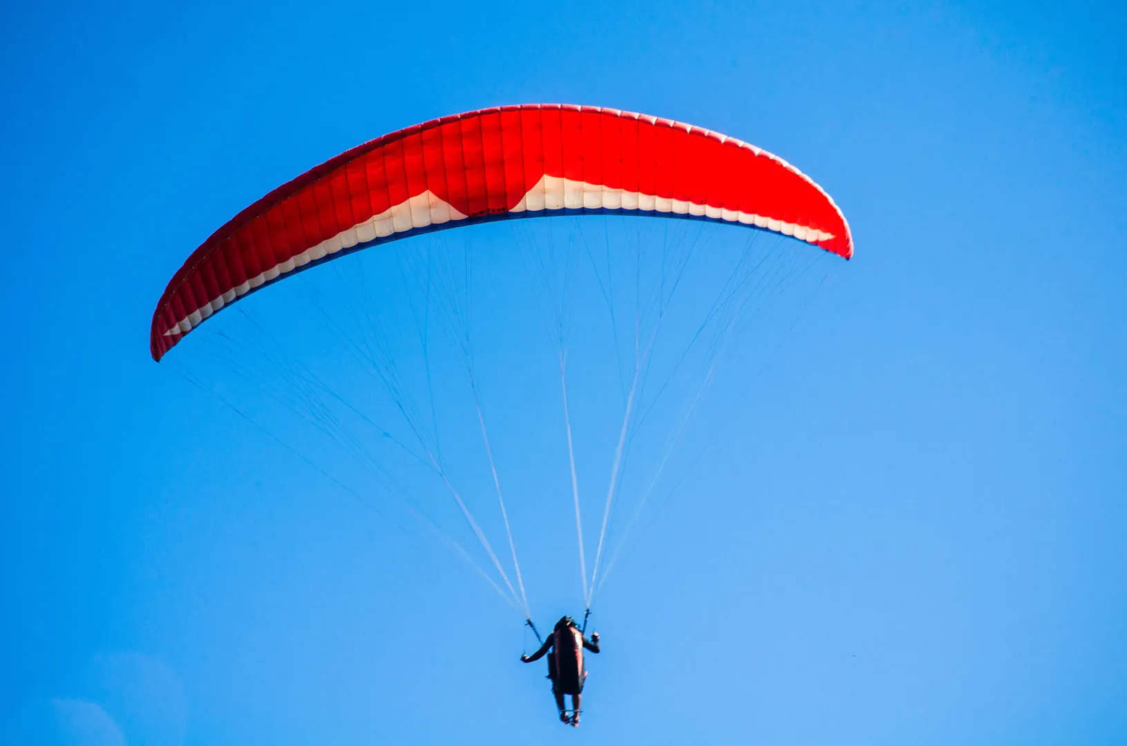 Nota sobre Siente la adrenalina practicando paracaidismo en México