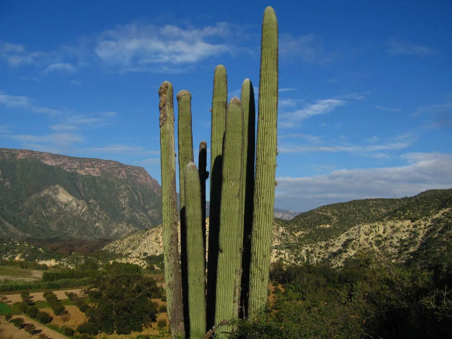 Nota sobre Reserva El Cielo, ecoturismo en Tamaulipas