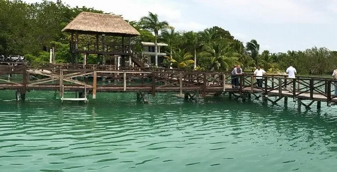 Nota sobre Visita el Santuario del Manatí en Quintana Roo