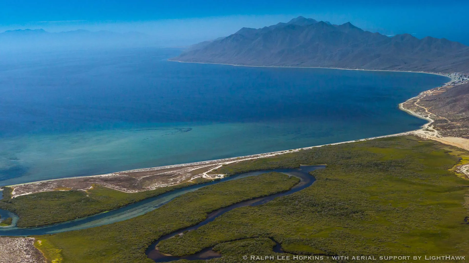Nota sobre Bahía Magdalena, belleza sobrenatural en Baja California Sur