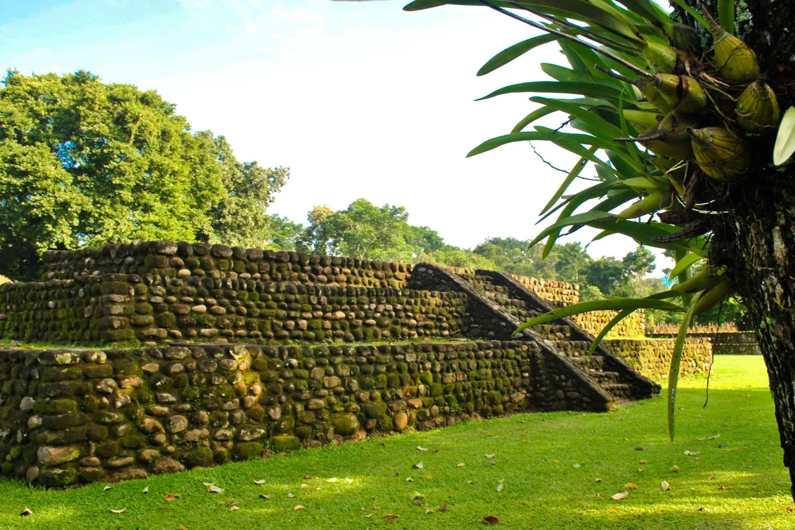 Nota sobre Sitio arqueológico de Izapa, Chiapas