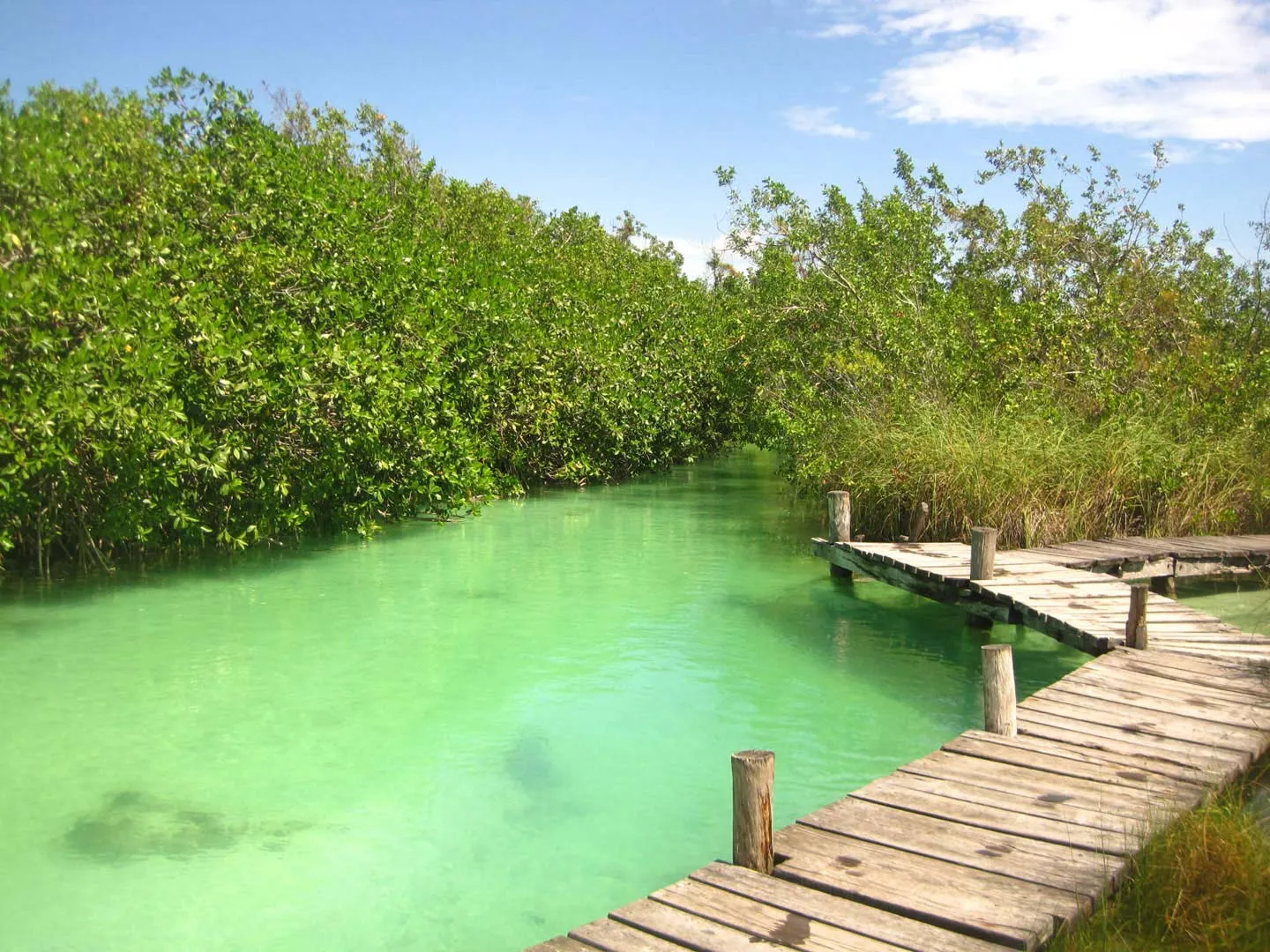 Nota sobre Reserva de la Biosfera Sian Ka’an en Quintana Roo