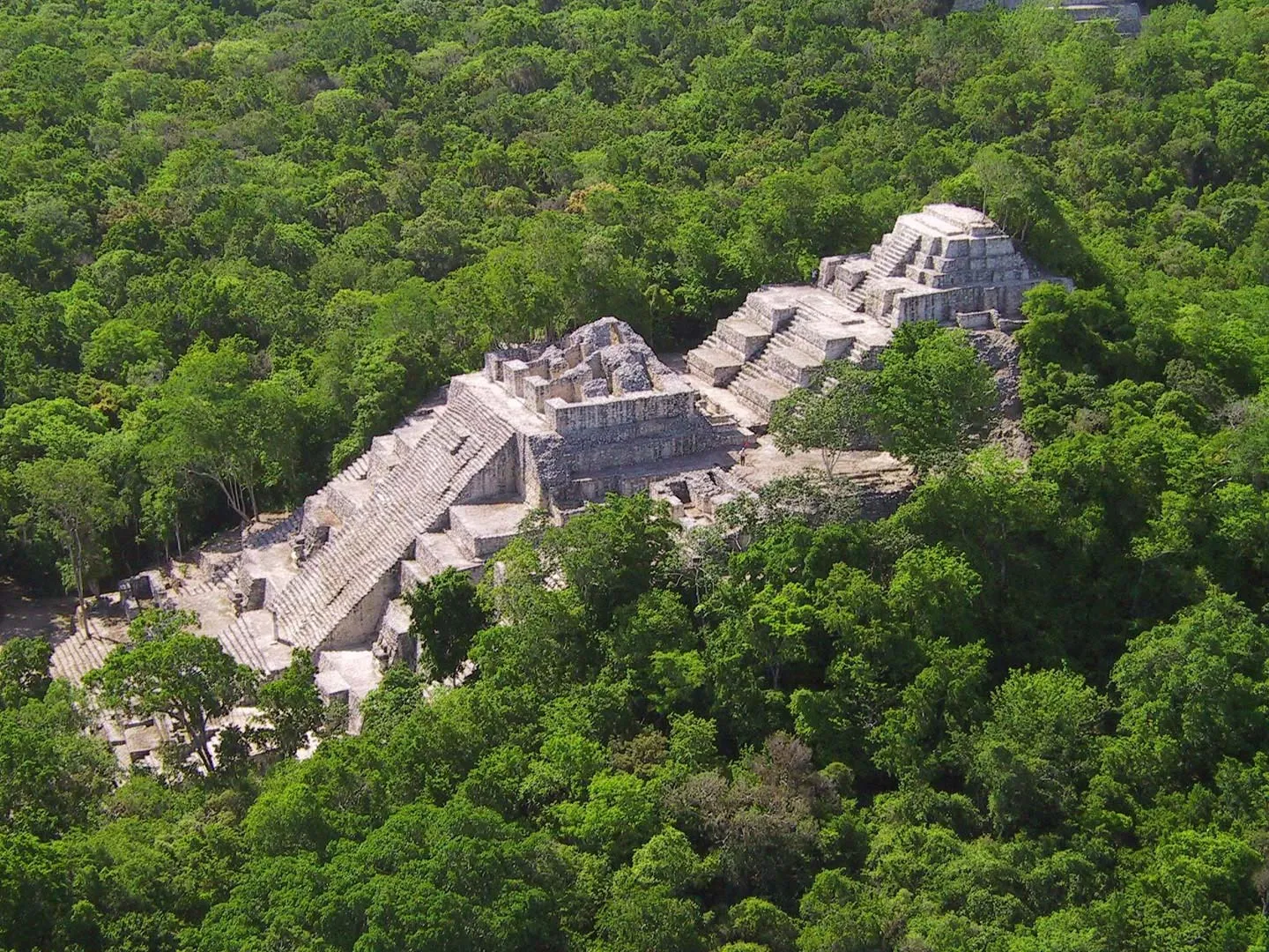 Nota sobre Antigua ciudad maya de Calakmul en Campeche