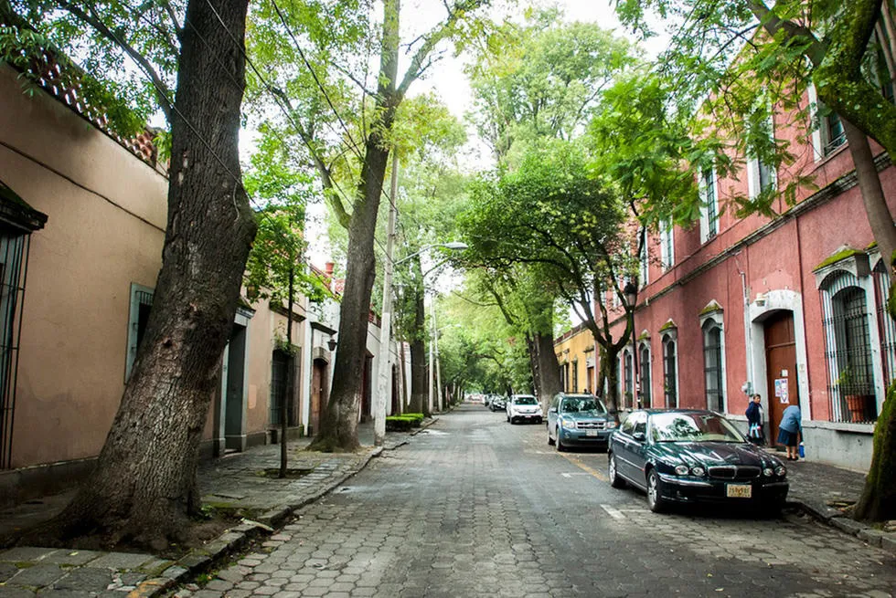 Nota sobre Francisco Sosa, una calle emblemática en Coyoacán