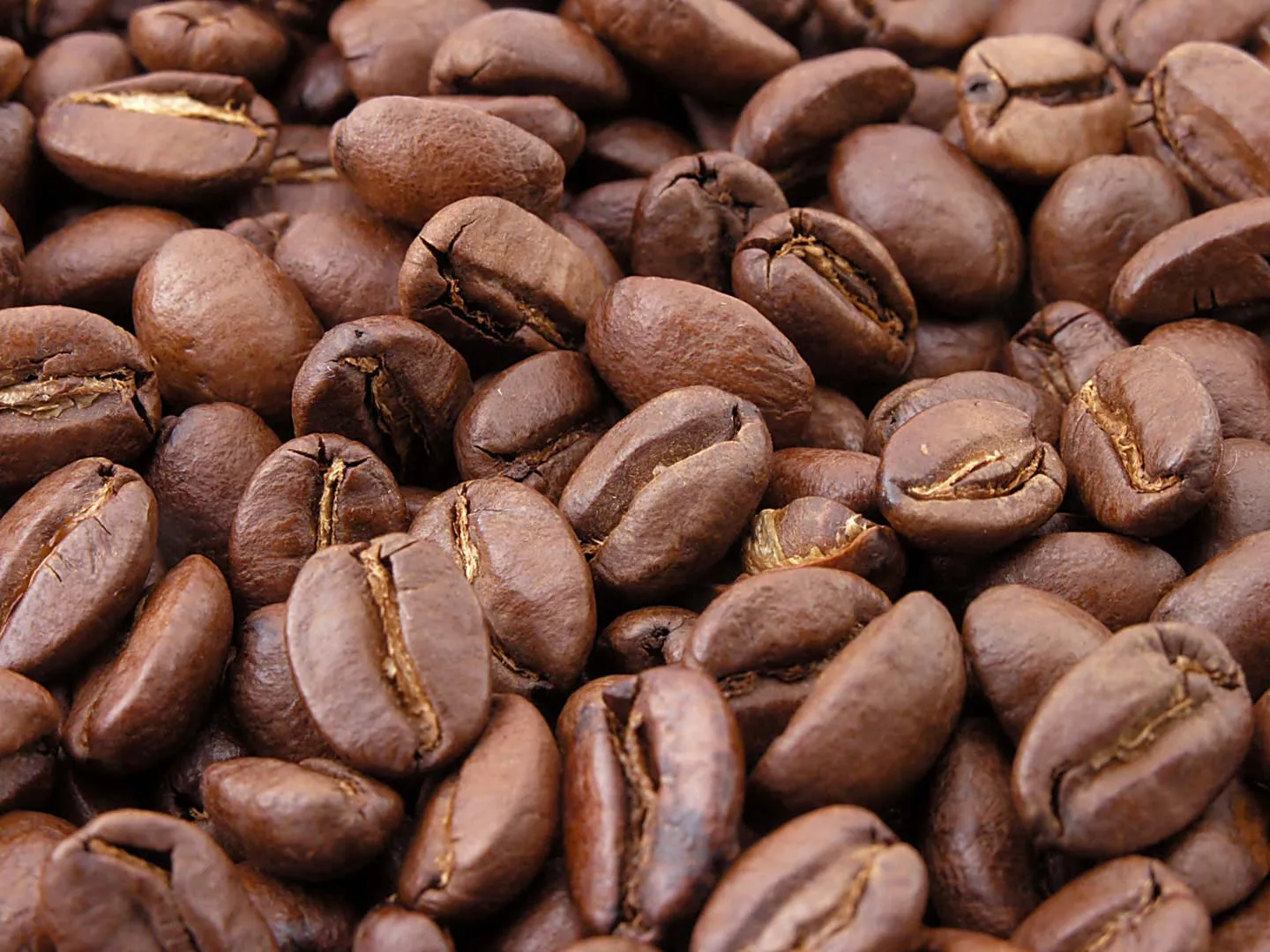 Nota sobre ¿Fan del café? No te pierdas la ruta del café en Chiapas