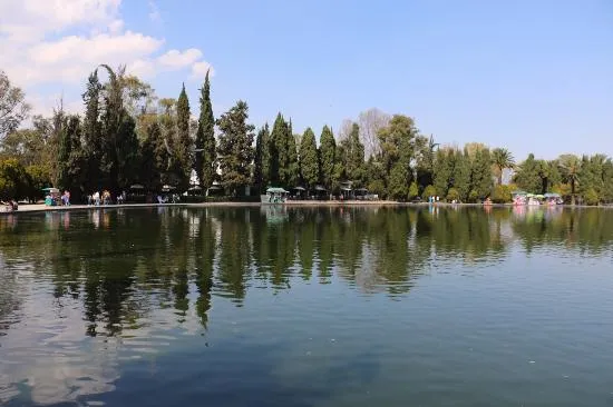 Nota sobre Disfrutando una tarde soleada en el Lago de Chapultepec