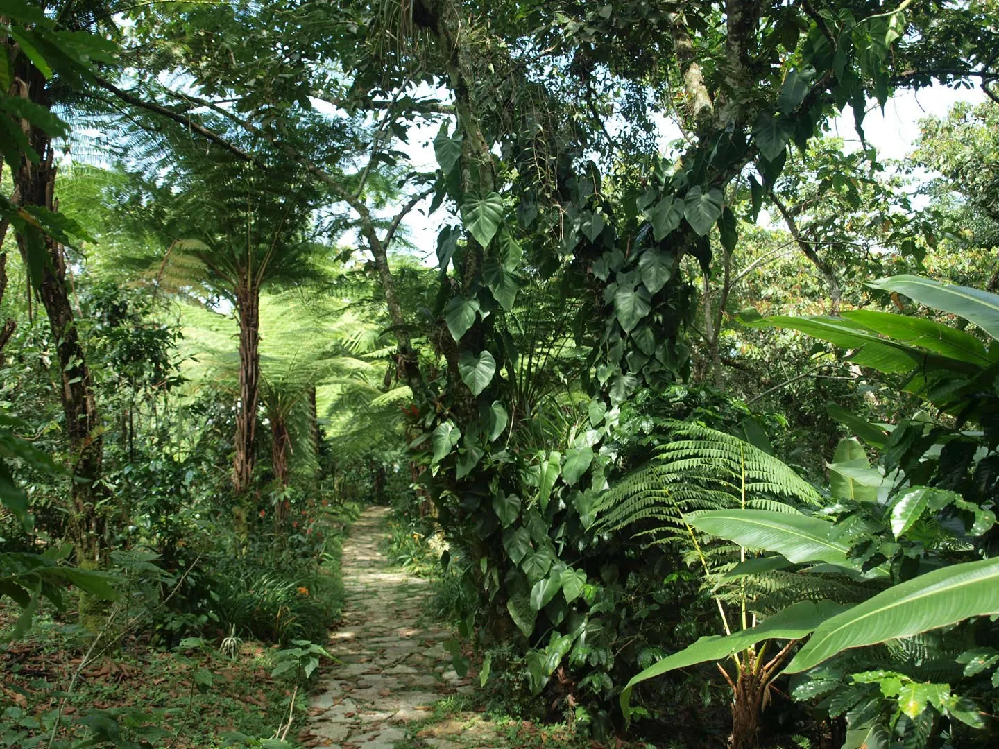 Nota sobre De paseo en el Jardín Botánico Xoxoctic en Puebla