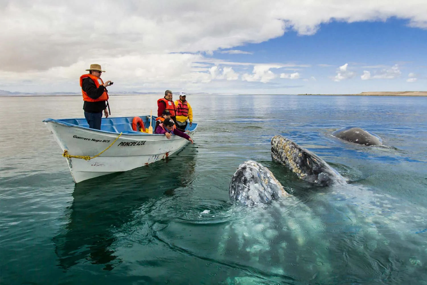 Nota sobre Laguna Ojo de Liebre, un lugar para conocer ballenas en Baja California Sur