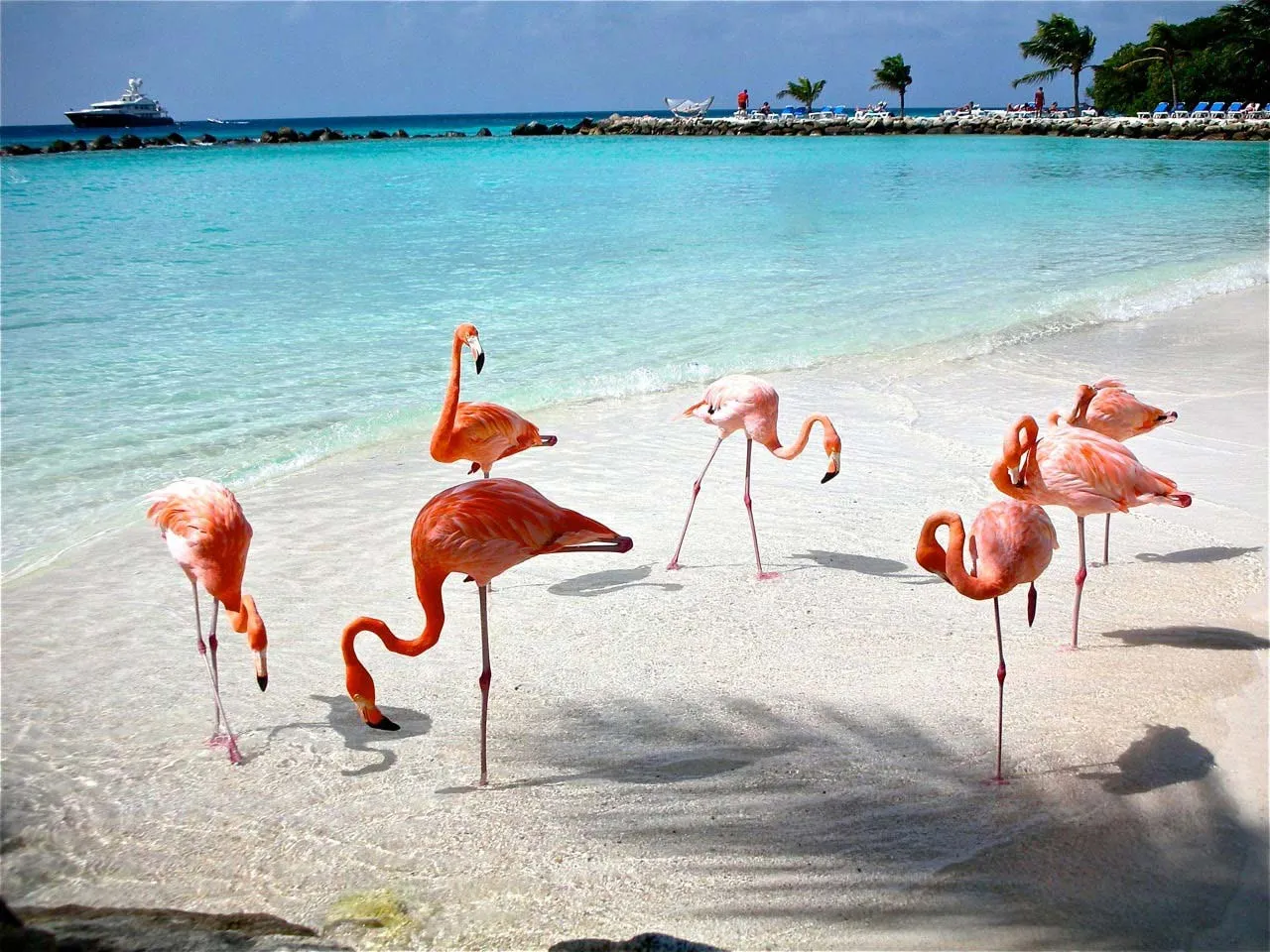 Nota sobre Celestún, una bella playa de Yucatán