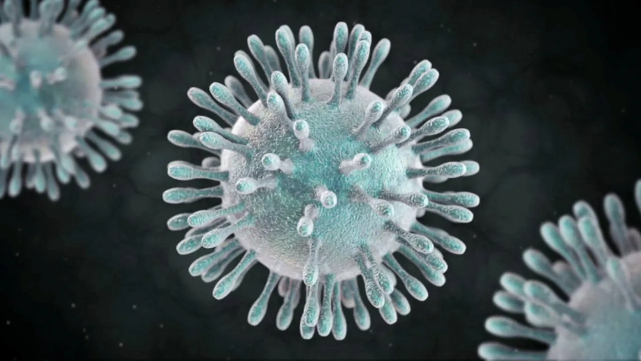 Nota sobre Patologías previas capaces de hacer más graves los efectos del coronavirus