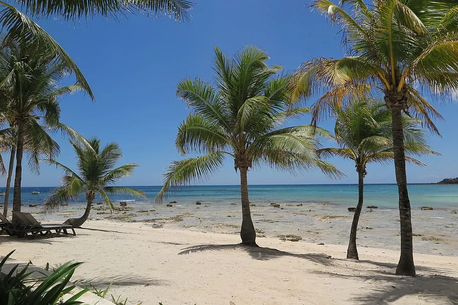 Nota sobre  Presentan propuesta para reapertura de playas en Cancún