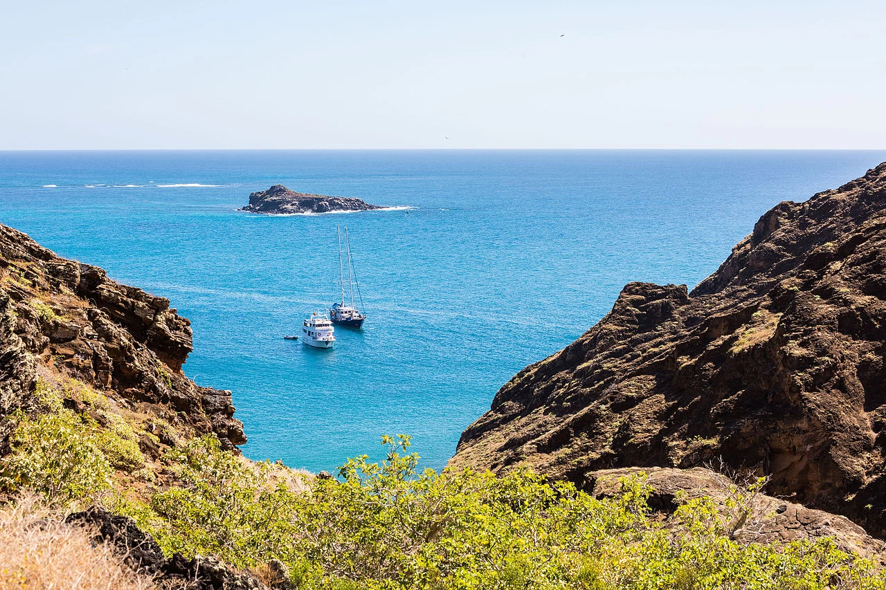 Nota sobre ¿Los Cabos y Cabo San Lucas son lo mismo? Descubre la distinción en el Paraíso Mexicano