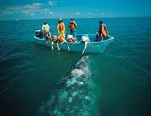Nota sobre Practica Rafting en Pueblos de México