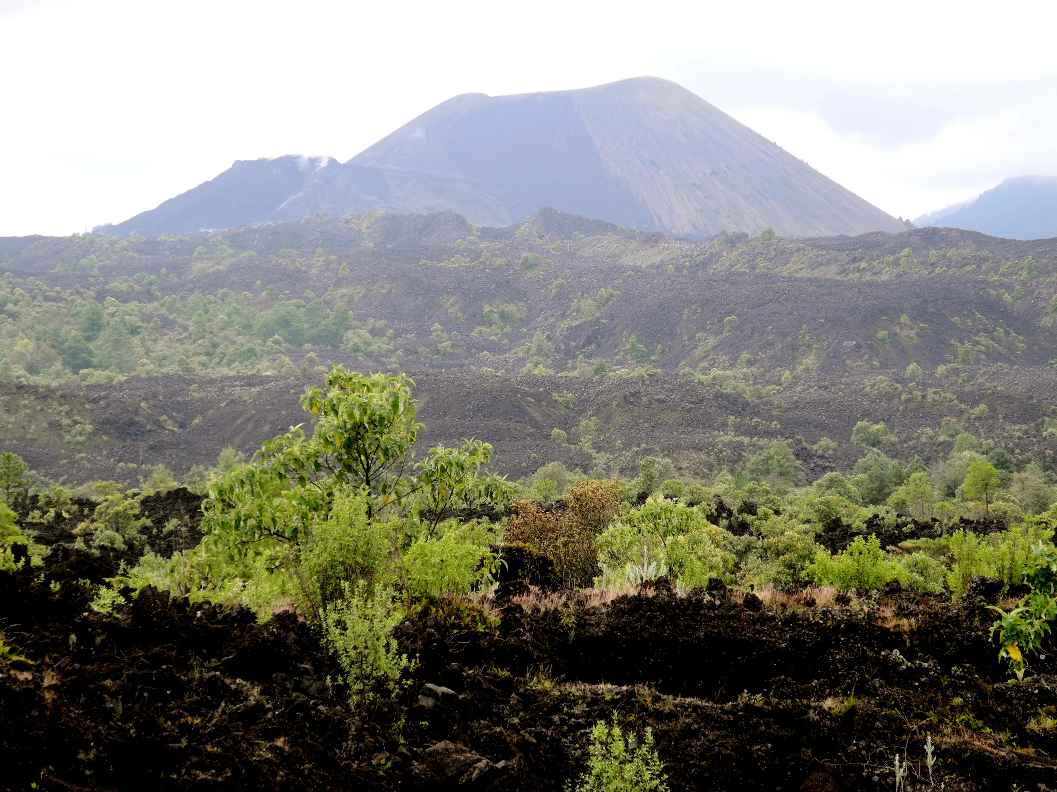 Nota sobre Volcan Paricutin, Michoacan