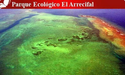 Nota sobre Parque Ecológico El Arrecifal, Veracruz