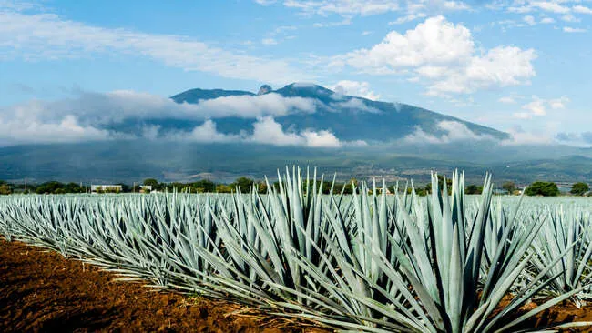 Tlaquepaque Pueblo Magico Jalisco