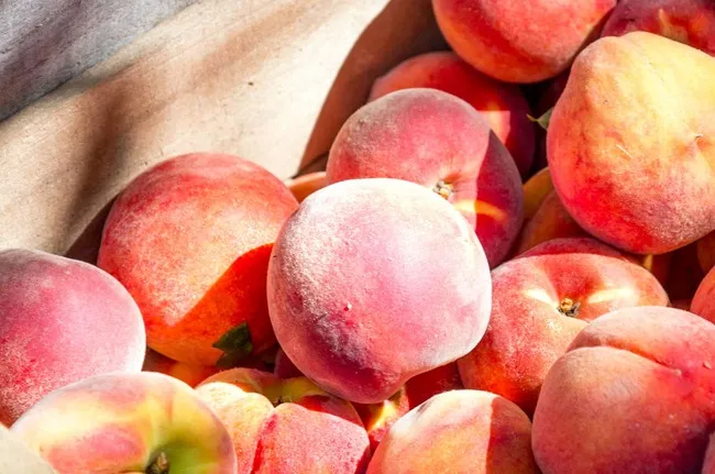 Palizada Pueblo Magico Campeche Palizada Pueblo Magico Campeche