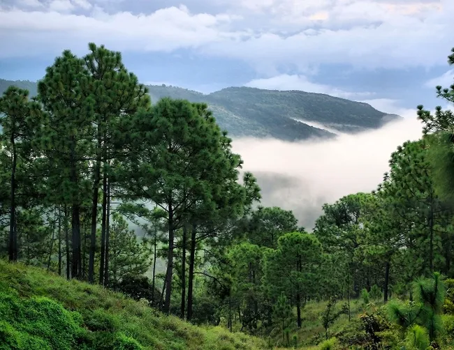 Tlaquepaque Pueblo Magico Jalisco