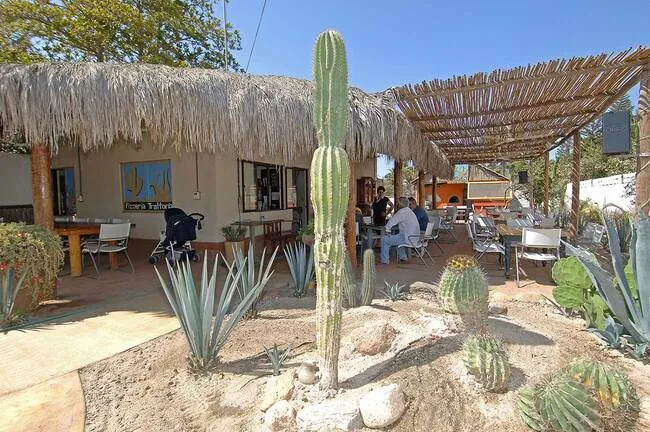 Todos Santos Pueblo Magico Baja California Sur