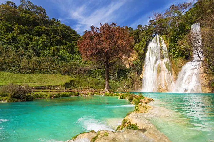 Cascadas de México que les recomendamos conocer