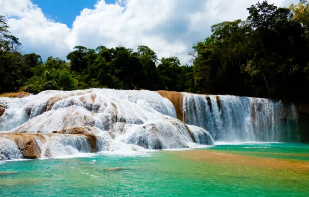 Cascadas de México que les recomendamos conocer