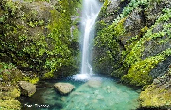 Cascadas de México que les recomendamos conocer