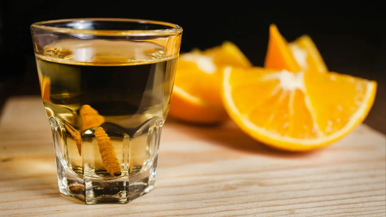 Un traguito de las bebidas típicas mexicanas Un traguito de las bebidas típicas mexicanas