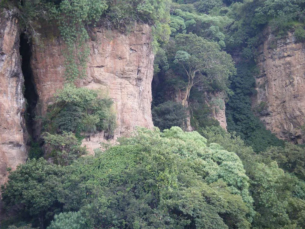 Conoce la bella vegetación de Malinalco Conoce la bella vegetación de Malinalco