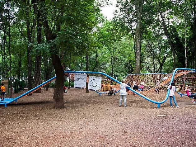 Parque México, un parque lleno de perros y diversión