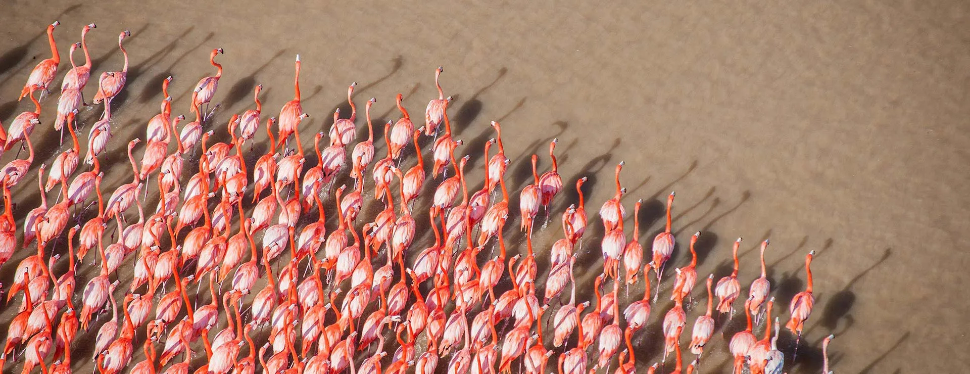 Reservas Ecológicas de Yucatán