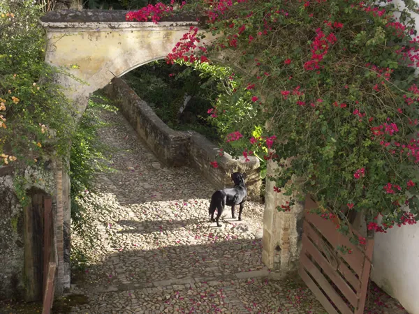 San Sebastian del Oeste Pueblo Magico Jalsico Valle de Bravo Pueblo Magico