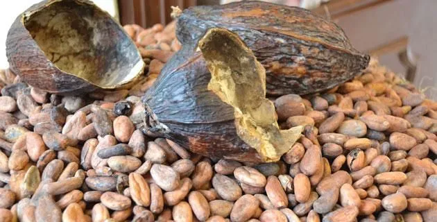 8 Cosas que comprar en Oaxaca