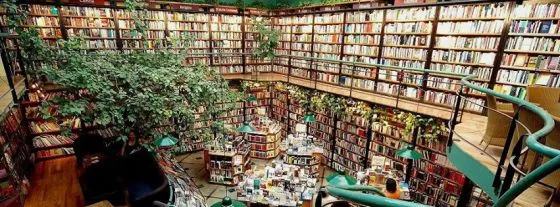 Colonia Roma, el nuevo México DF