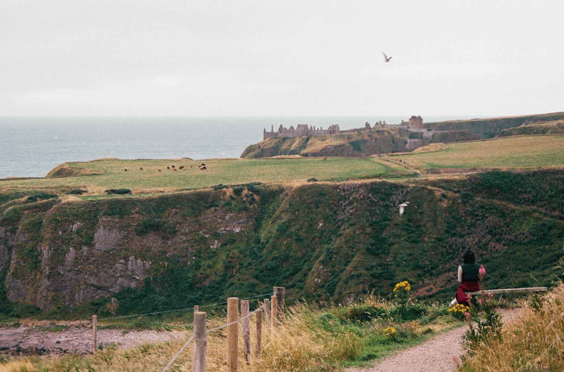 Seguros médicos de viaje: cobertura específica, cómo usarla en destino y cómo pedir reembolsos