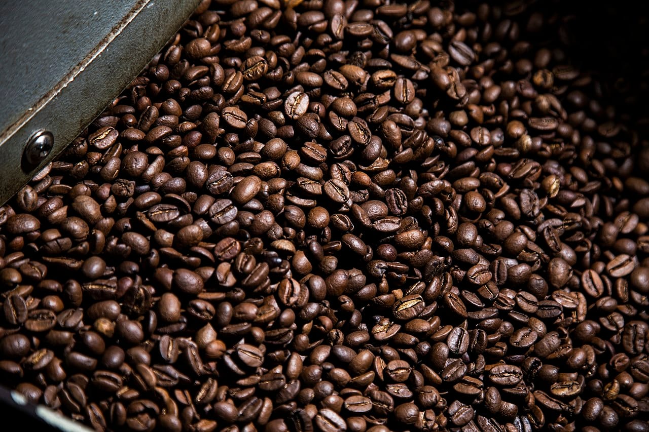 Café veracruzano: tradición, sabor y patrimonio